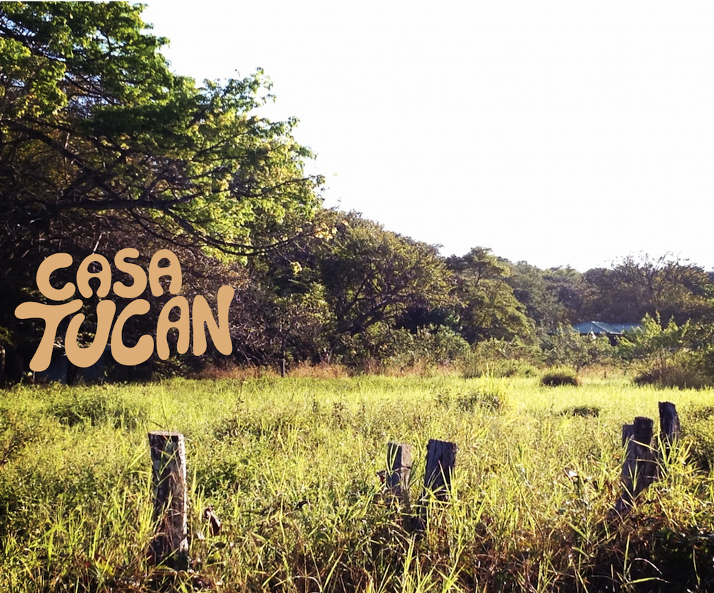 Hotel Casa Tucan Brand Identity